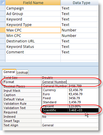 Microsoft Access Field Format for Scientific Notation