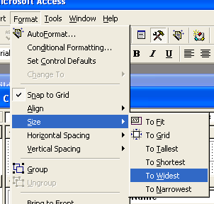 Access Form Sizing Control